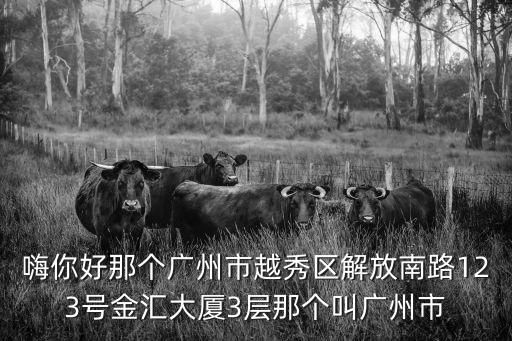 嗨你好那個(gè)廣州市越秀區(qū)解放南路123號(hào)金匯大廈3層那個(gè)叫廣州市