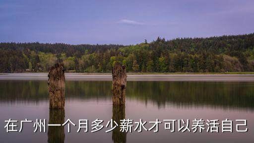 在廣州一個月多少薪水才可以養(yǎng)活自己