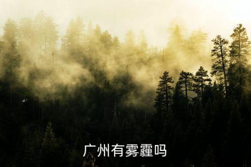 廣州有霧霾嗎