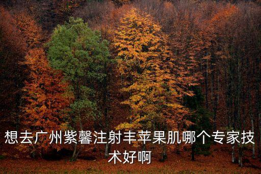 曹梁更贊廣州紫 馨擅長，想去廣州紫馨注射豐蘋果肌哪個(gè)專家技術(shù)好啊
