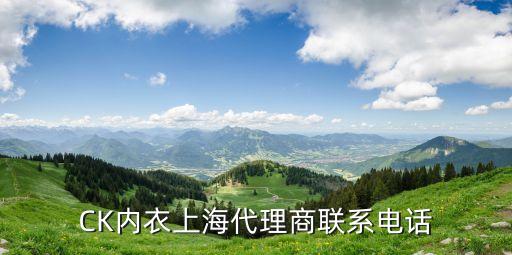 上海市珂懌時裝有限公司，上海 calvin klein 的公司地址在哪里啊