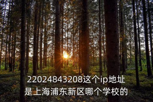 22024843208這個ip地址是上海浦東新區哪個學校的