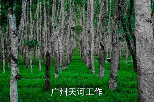廣州天河工作
