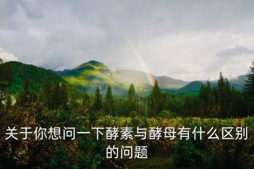 關(guān)于你想問一下酵素與酵母有什么區(qū)別的問題