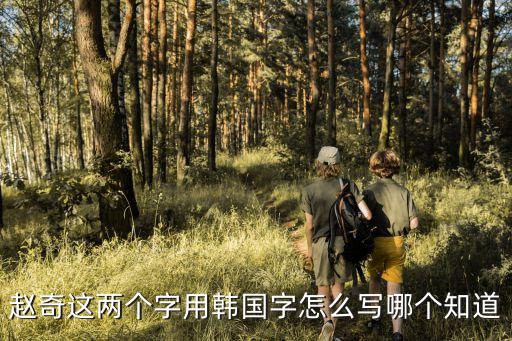 趙奇這兩個字用韓國字怎么寫哪個知道