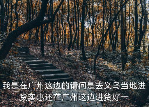 我是在廣州這邊的請(qǐng)問(wèn)是去義烏當(dāng)?shù)剡M(jìn)貨實(shí)惠還在廣州這邊進(jìn)貨好一