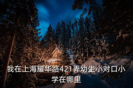 上海市德州七村對口小學，我在上海耀華路421弄幼生小對口小學在哪里