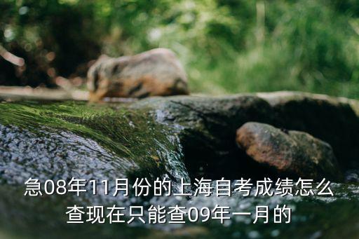 上海市自學本科考試成績查詢，急08年11月份的上海自考成績怎么查現(xiàn)在只能查09年一月的