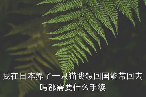 我在日本養(yǎng)了一只貓我想回國能帶回去嗎都需要什么手續(xù)