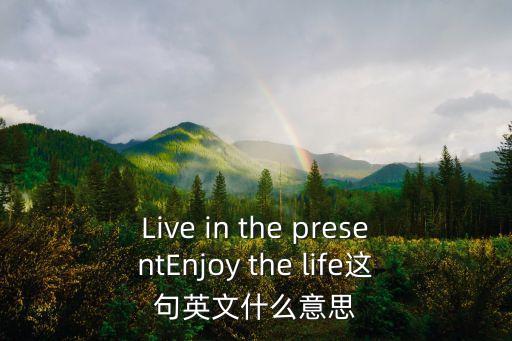 Live in the presentEnjoy the life這句英文什么意思