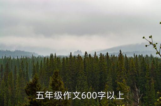 五年級作文600字以上