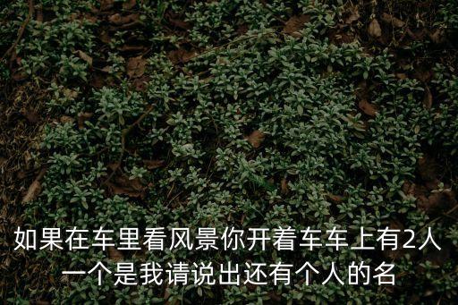 如果在車里看風景你開著車車上有2人一個是我請說出還有個人的名