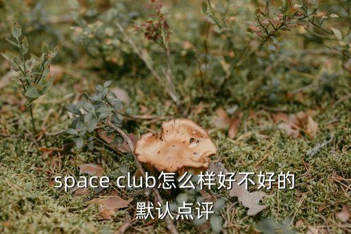 space club怎么樣好不好的默認(rèn)點(diǎn)評(píng)