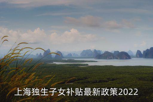 上海獨生子女補貼最新政策2022