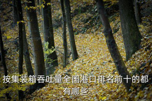 按集裝箱吞吐量全國港口排名前十的都有哪些