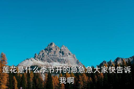 蓮花什么季節開花，荷花幾月份開