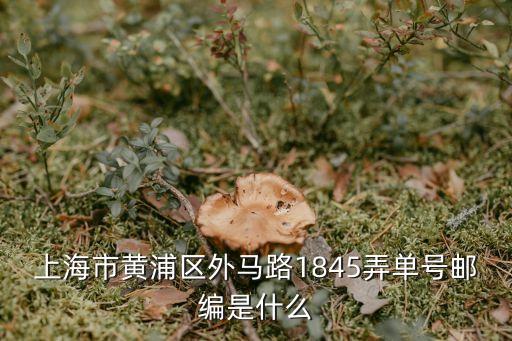 上海市黃浦區外馬路1845弄單號郵編是什么
