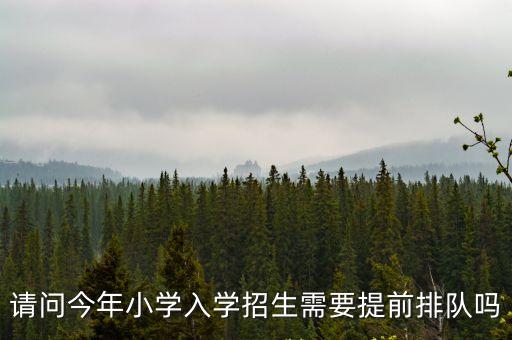 上海市小學入學排隊政策，請問今年小學入學招生需要提前排隊嗎