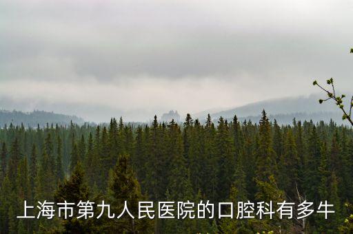 上海市口腔醫院第九醫院，上海第九醫院網站