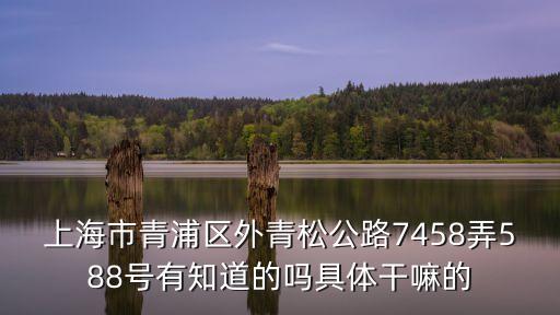 上海市上饒商會會員，上海市徐匯區(qū)漕溪路258弄27號 是干什么的請熟悉那邊的朋友說一下