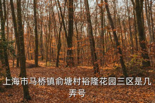 上海市馬橋鎮俞塘村裕隆花園三區是幾弄號