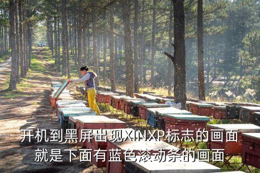 開機到黑屏出現(xiàn)XINXP標志的畫面就是下面有藍色滾動條的畫面