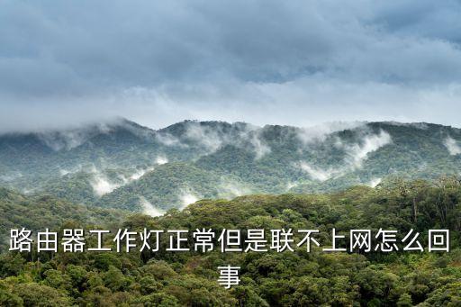 網絡連接正常但無法上網，路由器工作燈正常但是聯(lián)不上網怎么回事