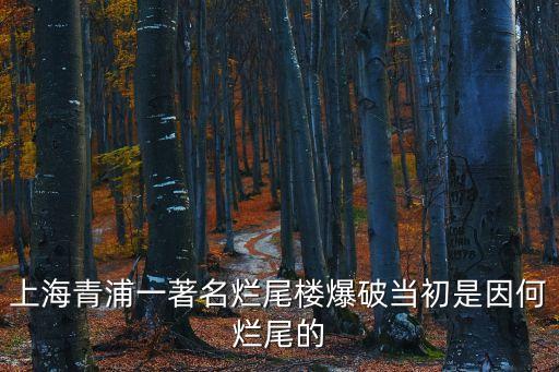 上海青浦一著名爛尾樓爆破當初是因何爛尾的
