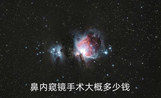 鼻內窺鏡手術大概多少錢