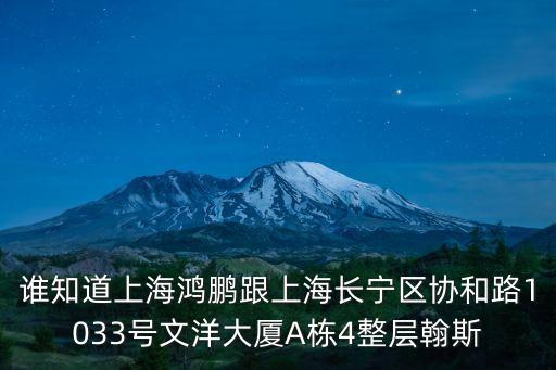 誰知道上海鴻鵬跟上海長寧區(qū)協(xié)和路1033號文洋大廈A棟4整層翰斯