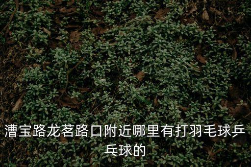 漕寶路龍茗路口附近哪里有打羽毛球乒乓球的