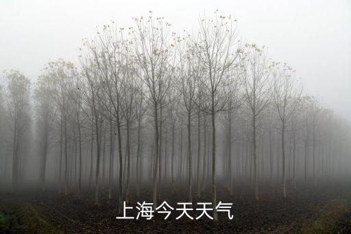 上海市天汽預(yù)報(bào)，今天上海天氣