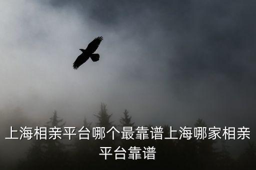 上海相親平臺(tái)哪個(gè)最靠譜上海哪家相親平臺(tái)靠譜