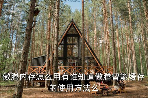 傲騰內存怎么用，新出的傲騰內存到底是加速整個機械硬盤還是只加速硬盤內放系統的