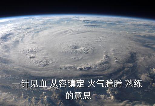一針見血 從容鎮(zhèn)定 火氣騰騰 熟練 的意思