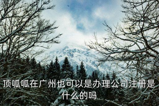頂呱呱在廣州也可以是辦理公司注冊是什么的嗎