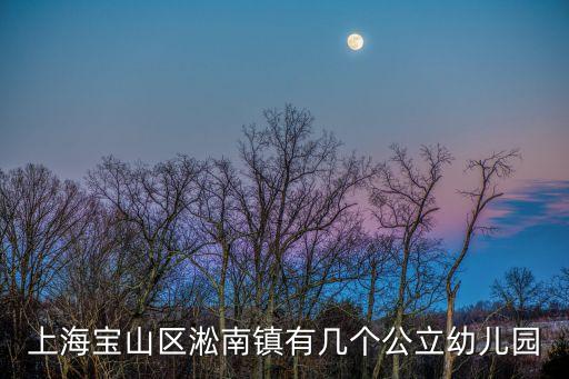 上海市星海灣幼兒園，上海寶山區羅南鎮外地務工人員子女到哪里上幼兒園