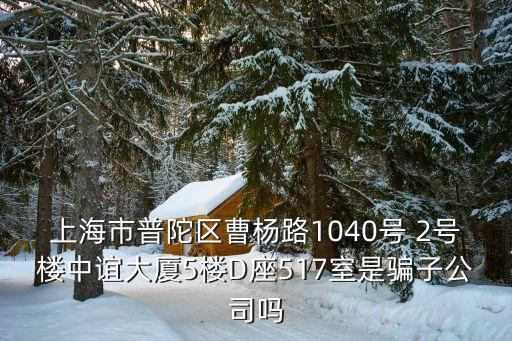 上海市華人運通，上海市河南南路33號23樓a座是家什么公司