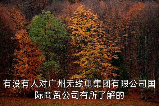 有沒(méi)有人對(duì)廣州無(wú)線(xiàn)電集團(tuán)有限公司國(guó)際商貿(mào)公司有所了解的