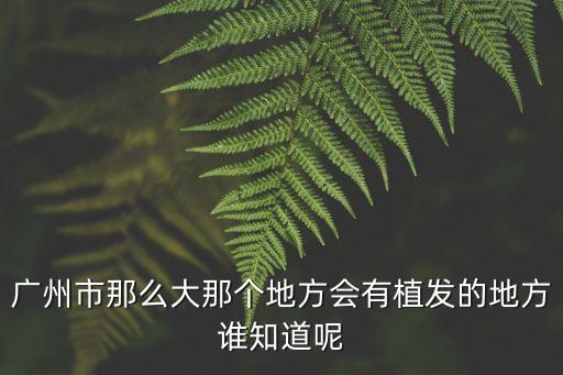 廣州植發靠譜新生y方位地址，廣州頭發稀少正規專科yiyuan在哪里