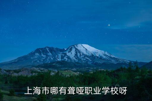 上海市哪有聾啞職業學校呀