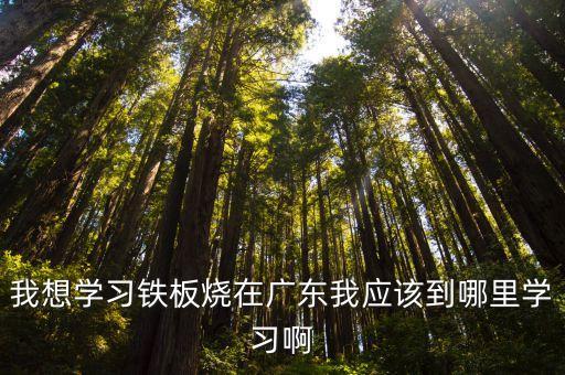 廣州哪有培訓韓式鐵板燒，我想學習鐵板燒在廣東我應該到哪里學習啊