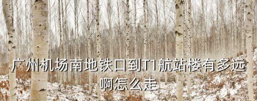 廣州機場南地鐵口到T1航站樓有多遠啊怎么走