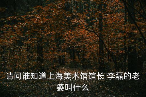請問誰知道上海美術館館長 李磊的老婆叫什么