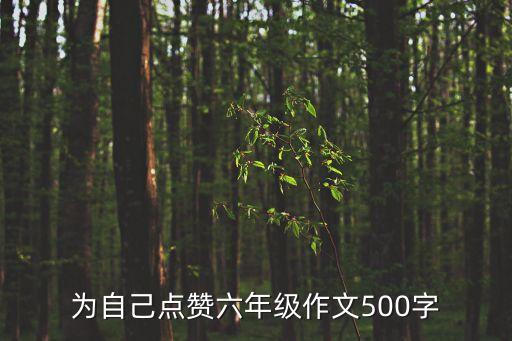 為自己點贊六年級作文500字