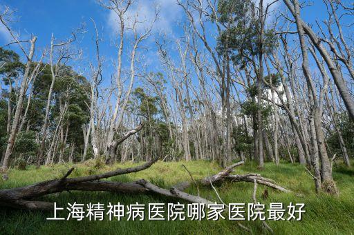 上海市心理科的醫(yī)院，上海最好精神科醫(yī)院急