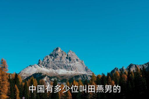 中國(guó)有多少位叫田燕男的