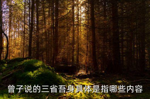 三省吾身，曾子說的三省吾身具體是指哪些內容