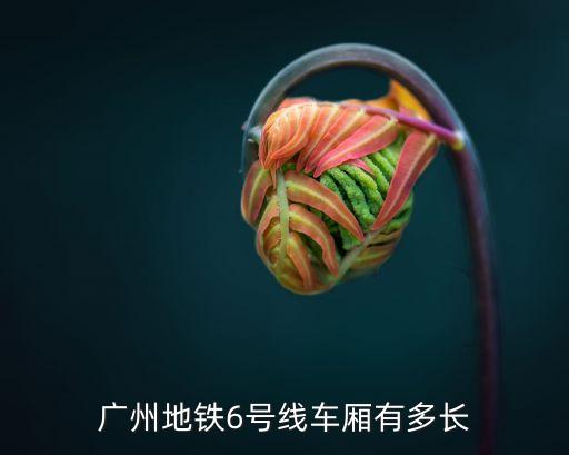 廣州地鐵車廂數最多，廣州地鐵最多承載多少人