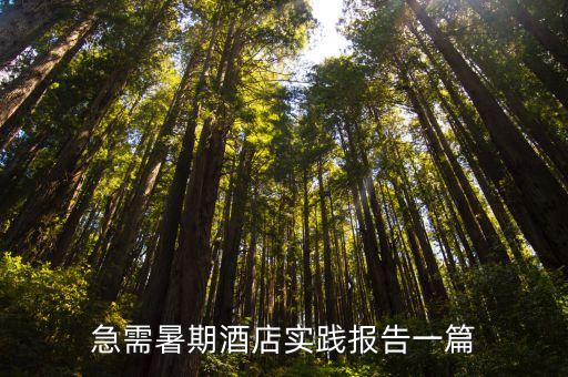 酒店實習總結，酒店實習樓層服務員的實習月小結怎么寫